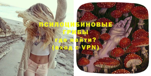 молекула духа Бородино