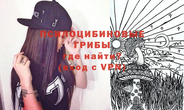 соль ск Верхнеуральск
